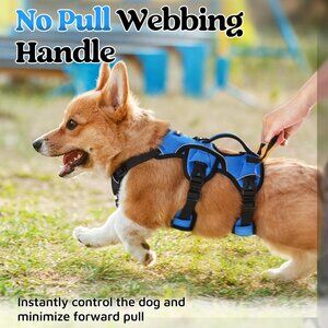 Escape Proof Dog Harness